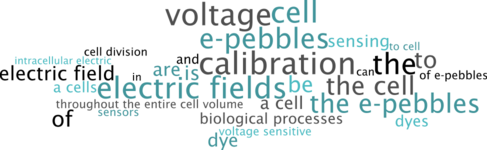 Click to view larger version of this image